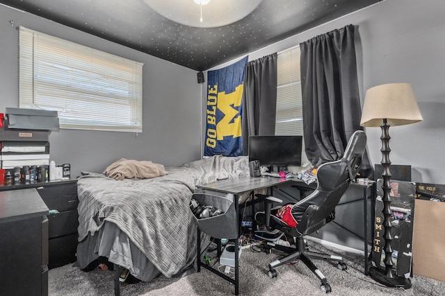 bedroom with carpet flooring