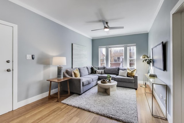 living area with ceiling fan, light wood-style floors, and ornamental molding