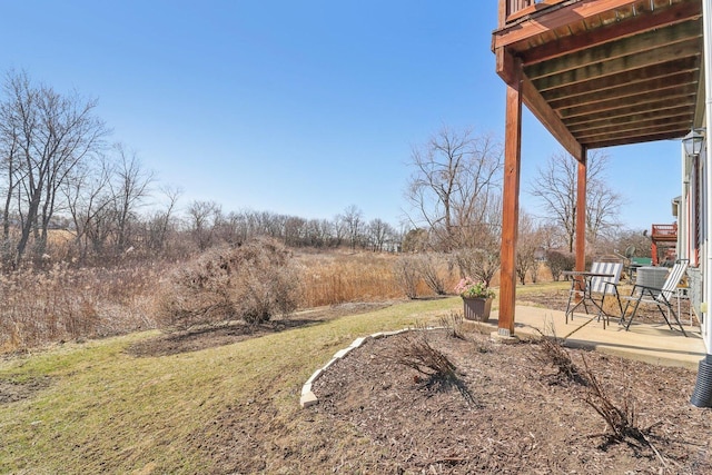 view of yard featuring a patio area