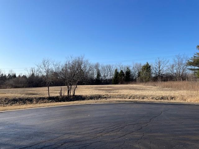 6873 Ellis Dr, Long Grove IL, 60047 land for sale