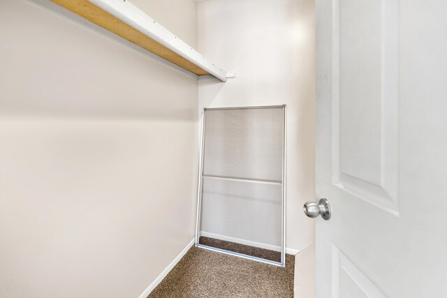 spacious closet featuring carpet floors