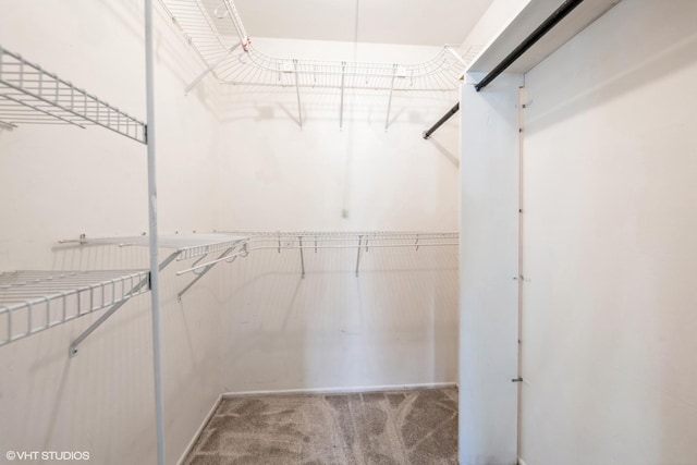 spacious closet with carpet floors