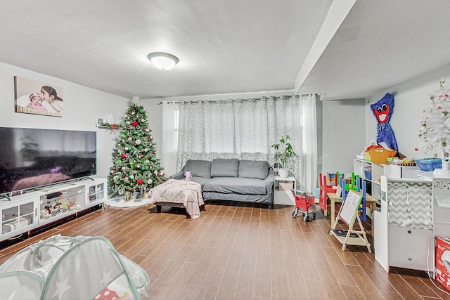 living area with wood finish floors