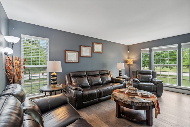 living area featuring wood finished floors