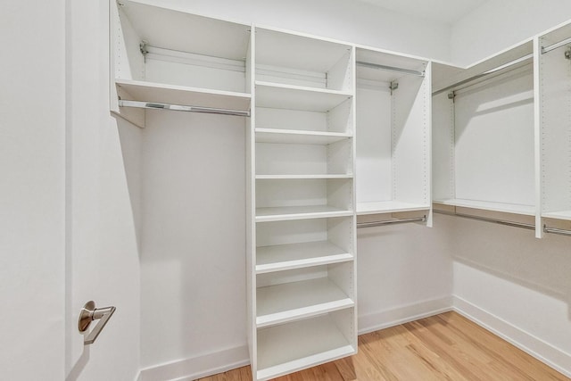 spacious closet featuring light wood-type flooring