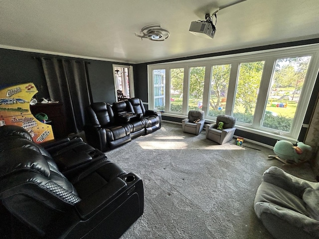 view of carpeted home theater room