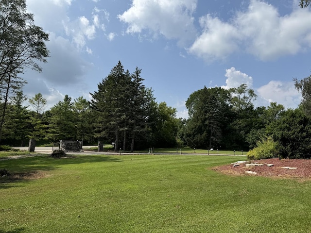 view of community with a lawn