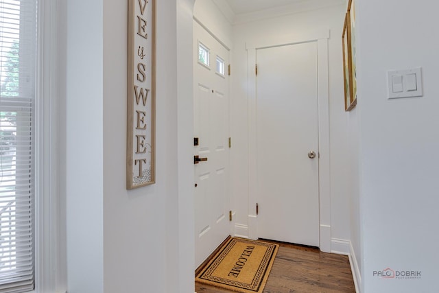 entryway with wood finished floors