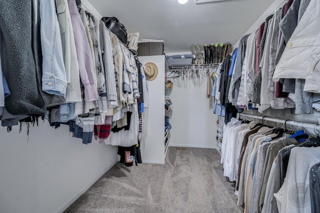 walk in closet featuring carpet