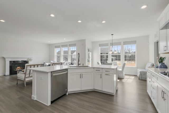 kitchen featuring a wealth of natural light, stainless steel dishwasher, a glass covered fireplace, white cabinetry, and a sink