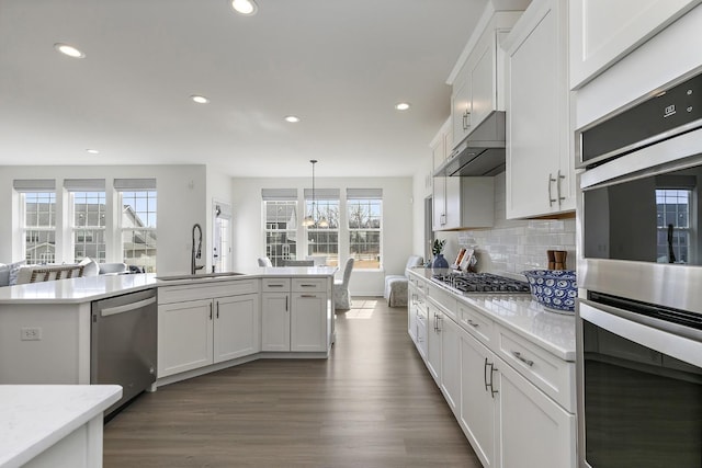 kitchen featuring a sink, under cabinet range hood, decorative backsplash, stainless steel appliances, and dark wood-style flooring