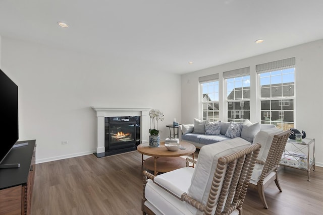 living area featuring a glass covered fireplace, baseboards, and wood finished floors