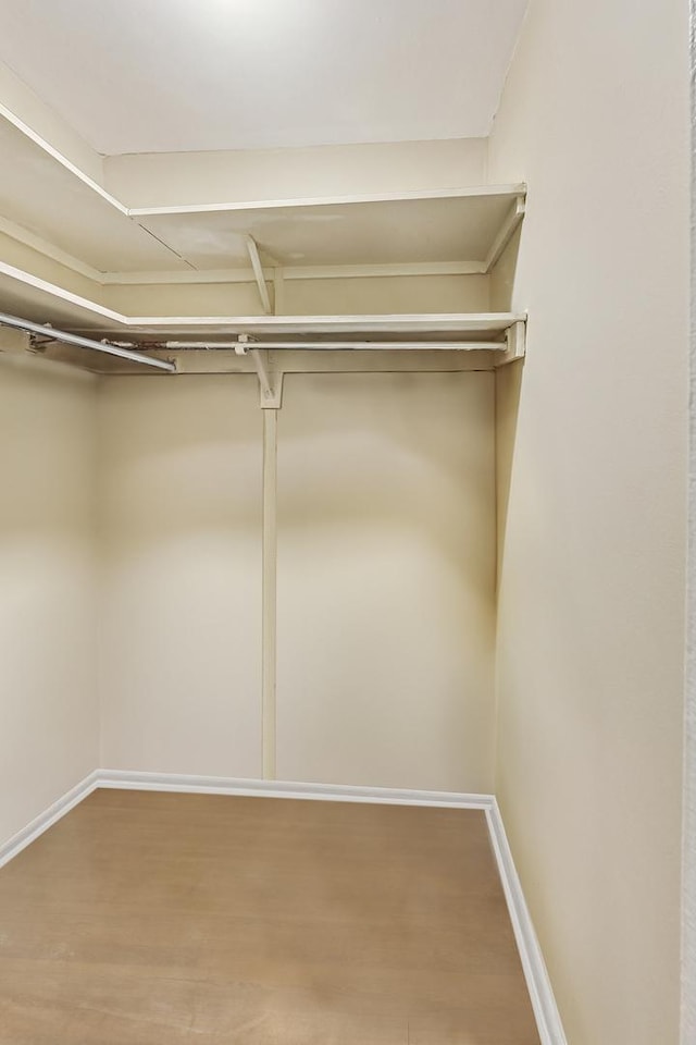 walk in closet with wood finished floors