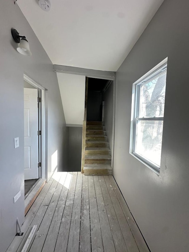 staircase featuring lofted ceiling and wood finished floors