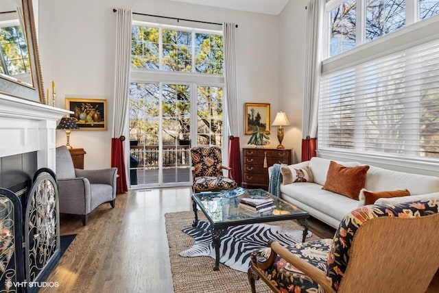 living area featuring a fireplace with flush hearth, plenty of natural light, wood finished floors, and a towering ceiling