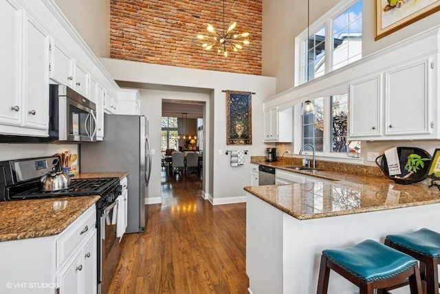 kitchen with dark stone countertops, dark wood-style floors, a sink, stainless steel appliances, and a towering ceiling