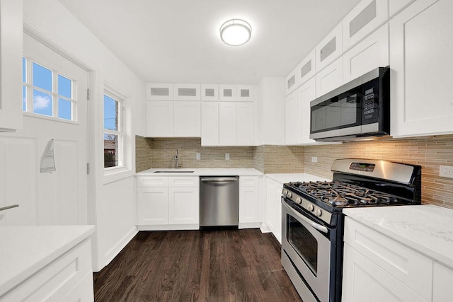 kitchen with a sink, stainless steel appliances, backsplash, and dark wood-style flooring