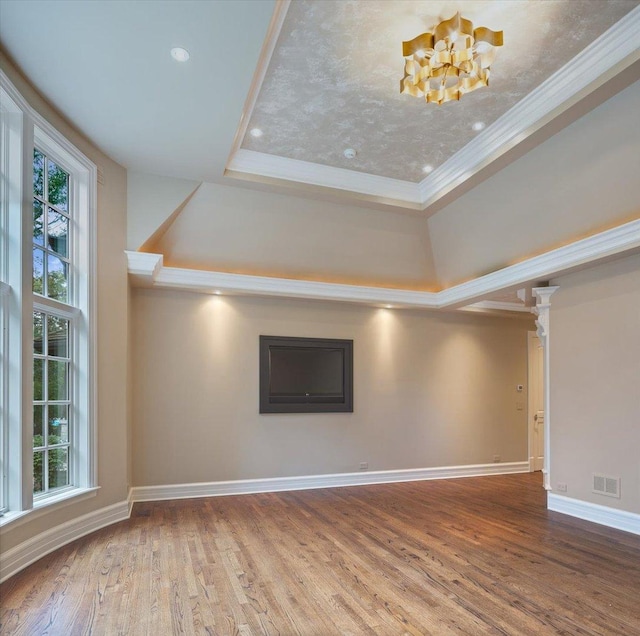 empty room featuring a raised ceiling, wood finished floors, and a wealth of natural light