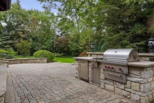 view of patio featuring area for grilling