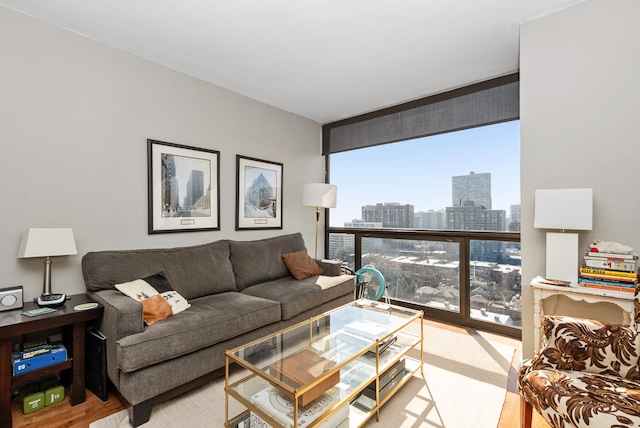 living room featuring wood finished floors, a view of city, and expansive windows