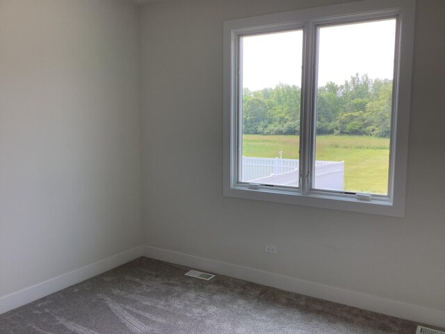 156 Trillium Dr, Dyer, IN 46311 - photo 27