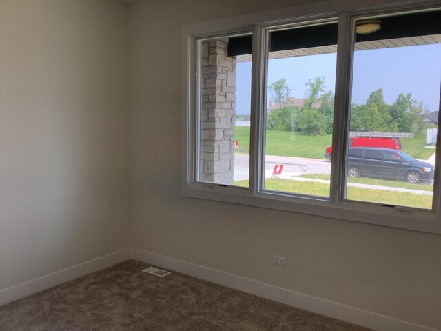 156 Trillium Dr, Dyer, IN 46311 - photo 29