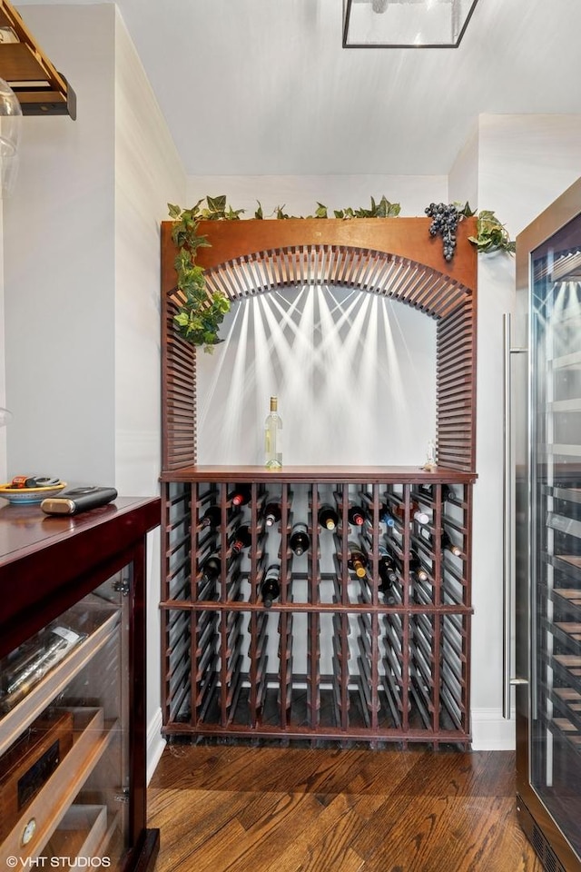 wine area featuring hardwood / wood-style floors