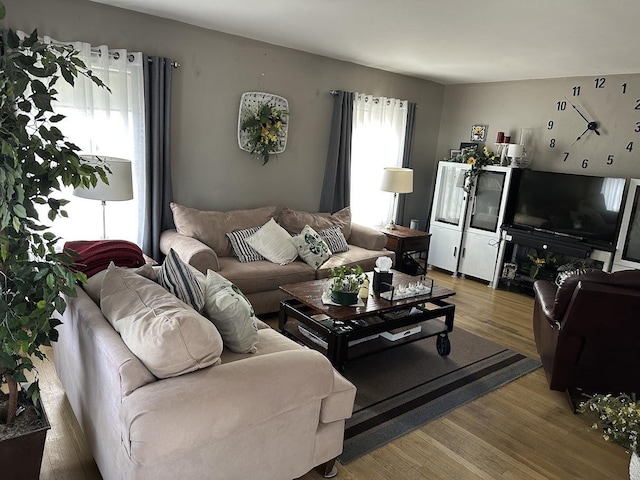 living area featuring wood finished floors