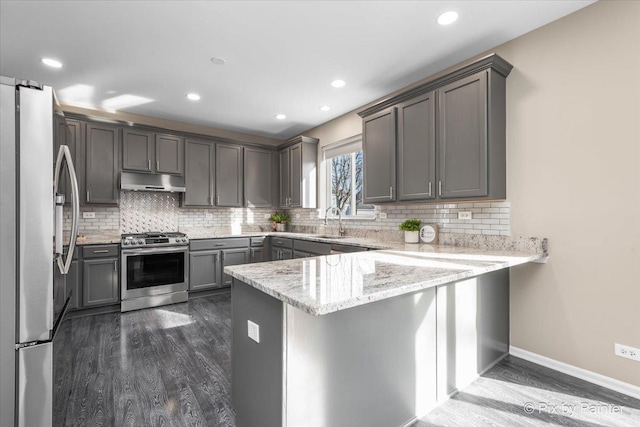 kitchen with dark wood-style floors, a peninsula, a sink, stainless steel appliances, and under cabinet range hood