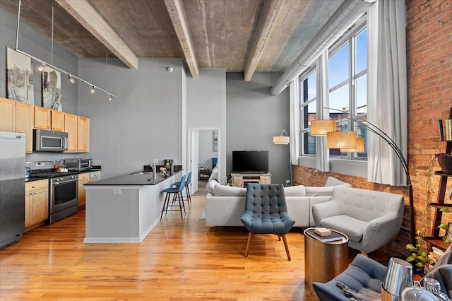 kitchen featuring dark countertops, light wood finished floors, open floor plan, a towering ceiling, and stainless steel appliances