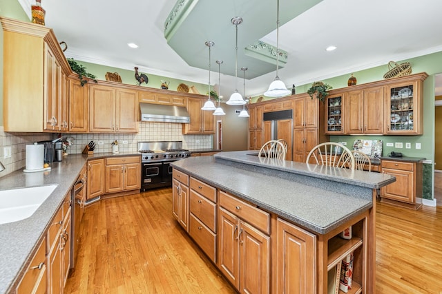 kitchen with high end appliances, a sink, exhaust hood, light wood-type flooring, and a center island