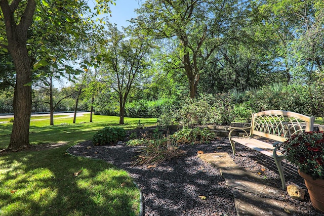 view of home's community featuring a yard