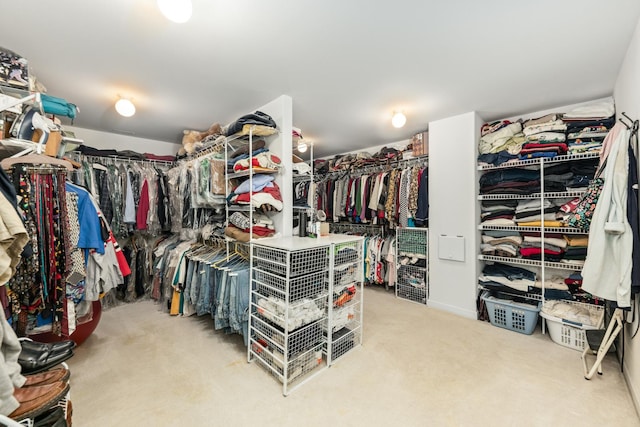 walk in closet featuring carpet flooring