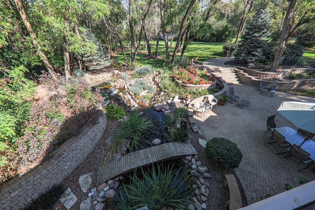 view of yard featuring a patio area