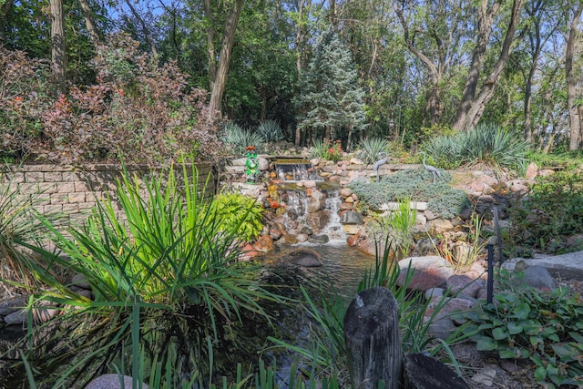 view of yard with a garden pond