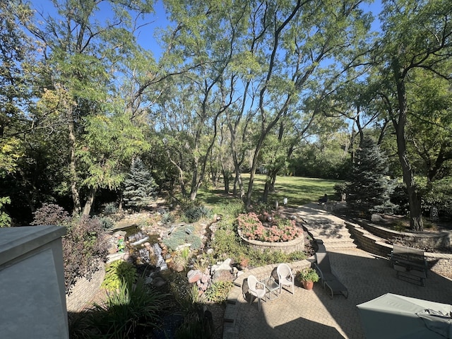 view of yard with a patio