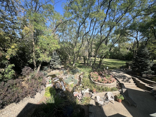 view of yard with a patio area