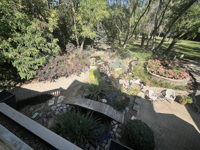 view of yard featuring a patio