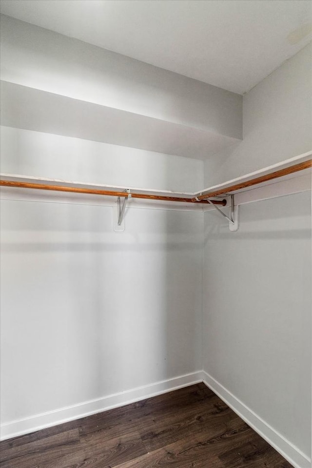 walk in closet featuring dark wood-type flooring