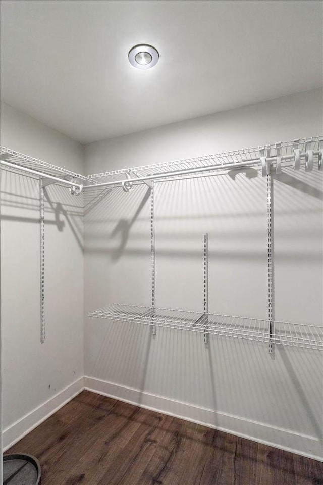 spacious closet with wood finished floors