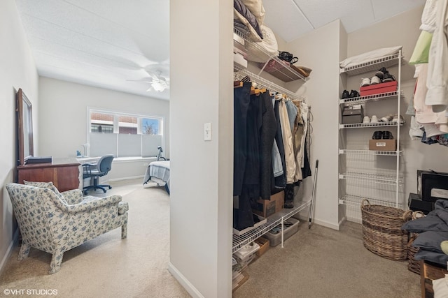 walk in closet featuring a ceiling fan and carpet floors