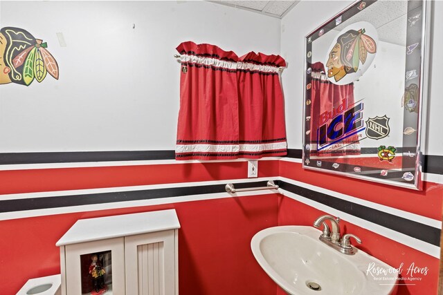 495 Water Tower Rd S, Manteno, IL 60950 - bathroom with a sink and a paneled ceiling