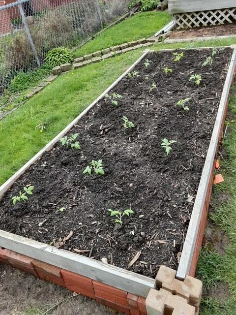 view of yard with a garden and fence