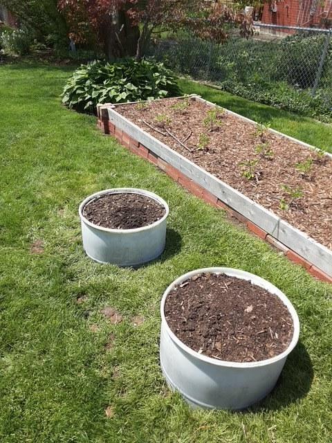 exterior space with a vegetable garden and fence