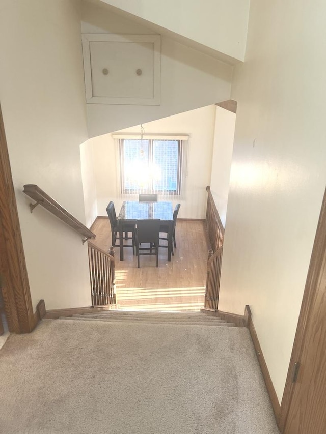 stairs featuring a high ceiling, baseboards, and carpet floors