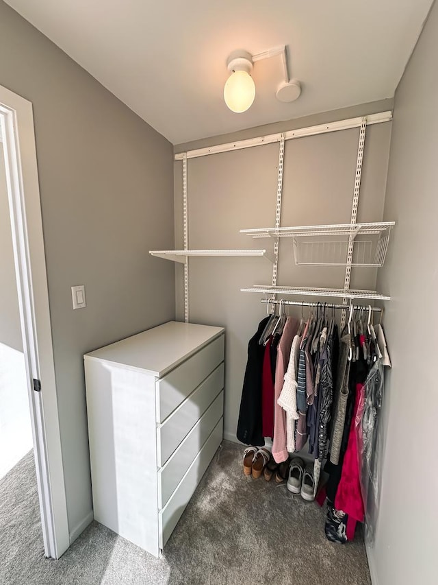 spacious closet with carpet flooring