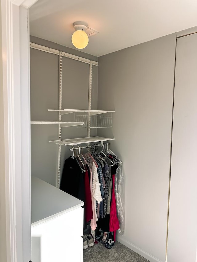 view of closet