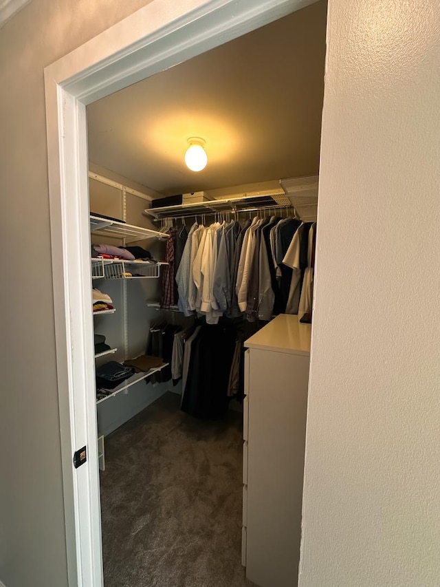 walk in closet featuring carpet flooring