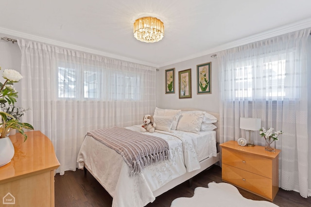 bedroom with multiple windows, dark wood-type flooring, and ornamental molding