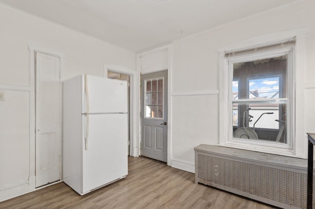 kitchen featuring radiator, light wood-style floors, and freestanding refrigerator